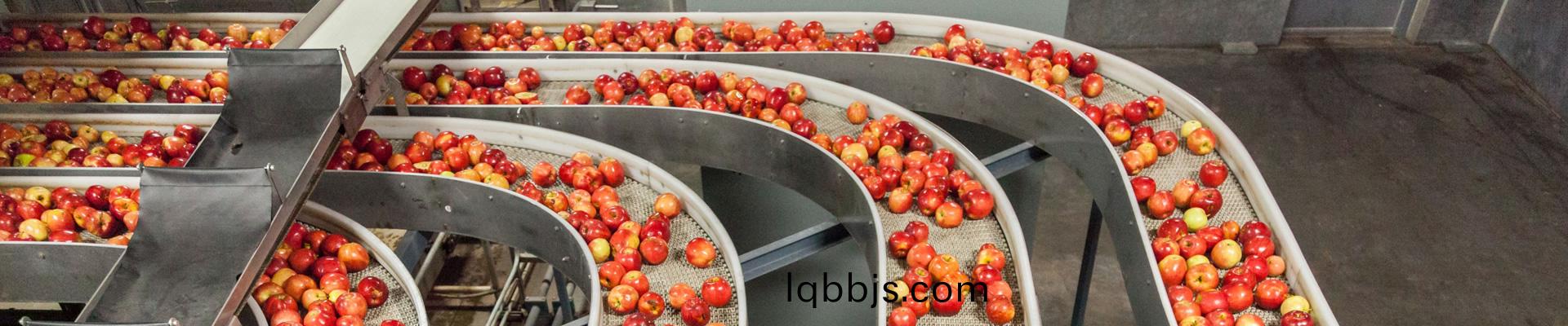 中央厨房设备：购买一台合适砍排机的技巧？