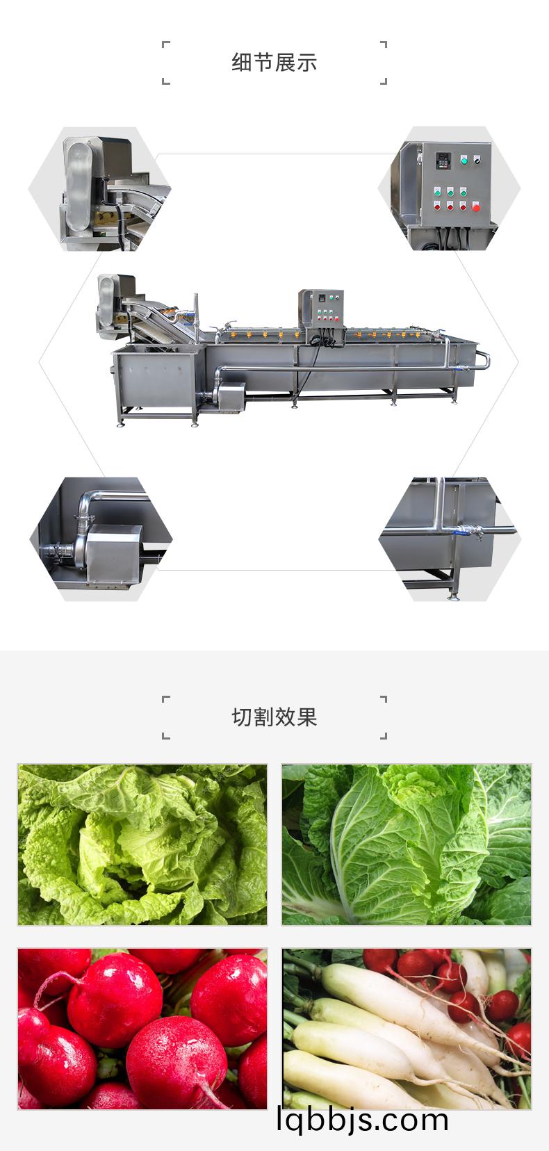 全自动鼓泡清洗机